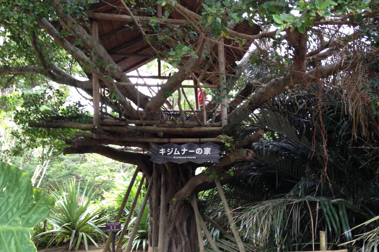 琉球村のキジムナーの家
